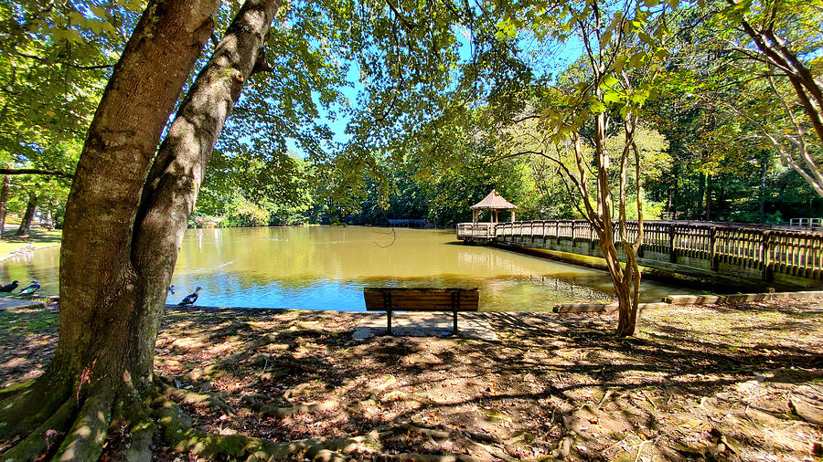 Georgetown Lake Park #54 Photograph by Kenny Glover