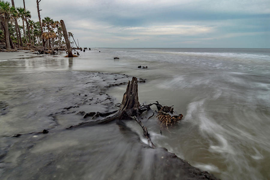 Hunting island south carolina beach scenes #54 Photograph by Alex Grichenko