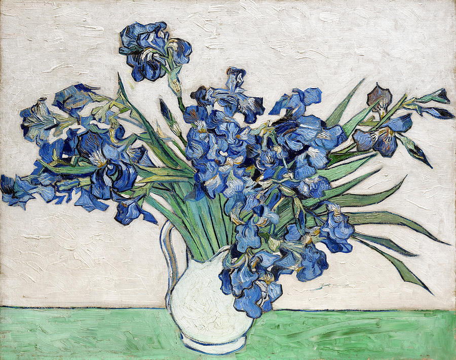Vincent Van Gogh Painting -  Irises  #54 by Vincent Van Gogh