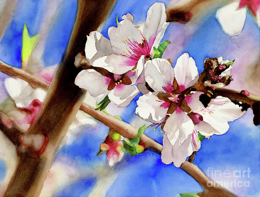 #543 Almond Blossoms #543 Painting by William Lum