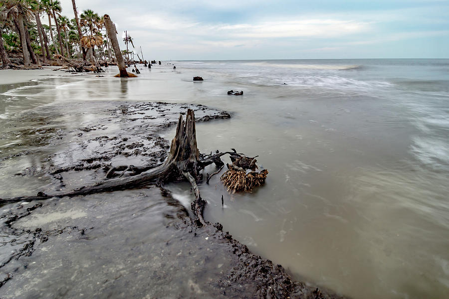 Hunting island south carolina beach scenes #55 Photograph by Alex Grichenko