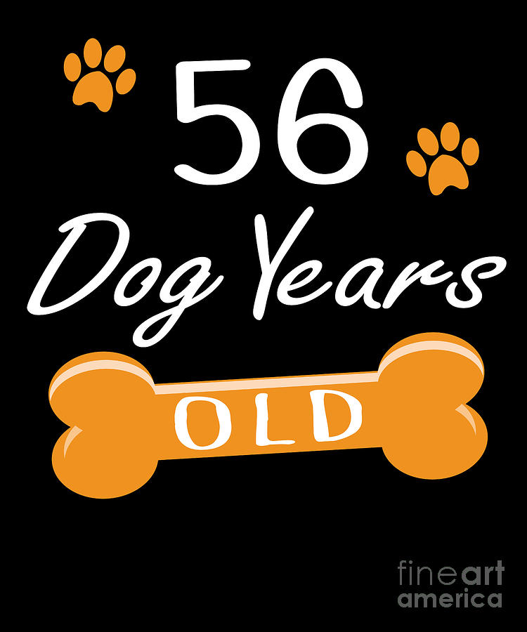 56 in best sale dog years