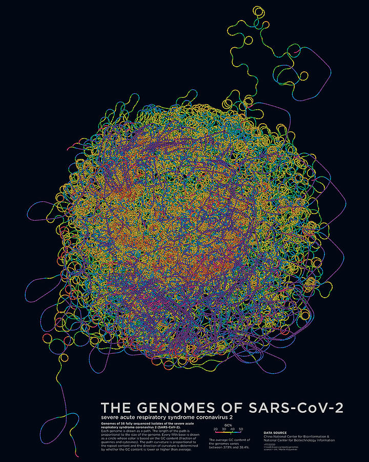 56 Genomes of the Coronavirus Digital Art by Martin Krzywinski