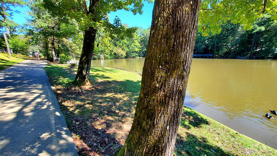 Georgetown Lake Park #56 Photograph by Kenny Glover