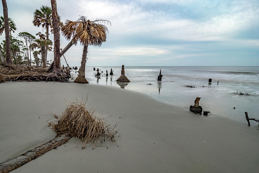 Hunting island south carolina beach scenes #56 Photograph by Alex Grichenko