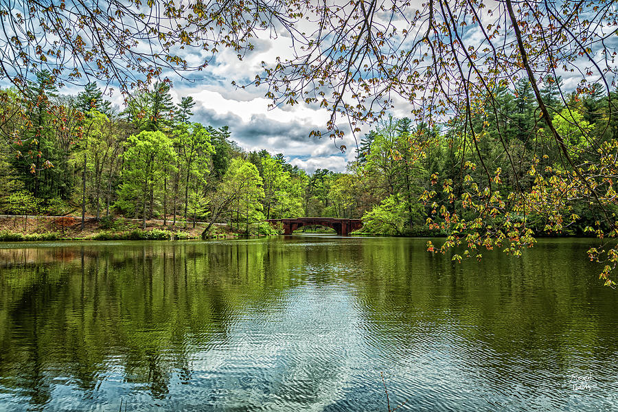 Biltmore Estate Gardens And Grounds Asheville North Carolina Photograph ...