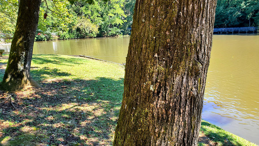 Georgetown Lake Park #57 Photograph by Kenny Glover