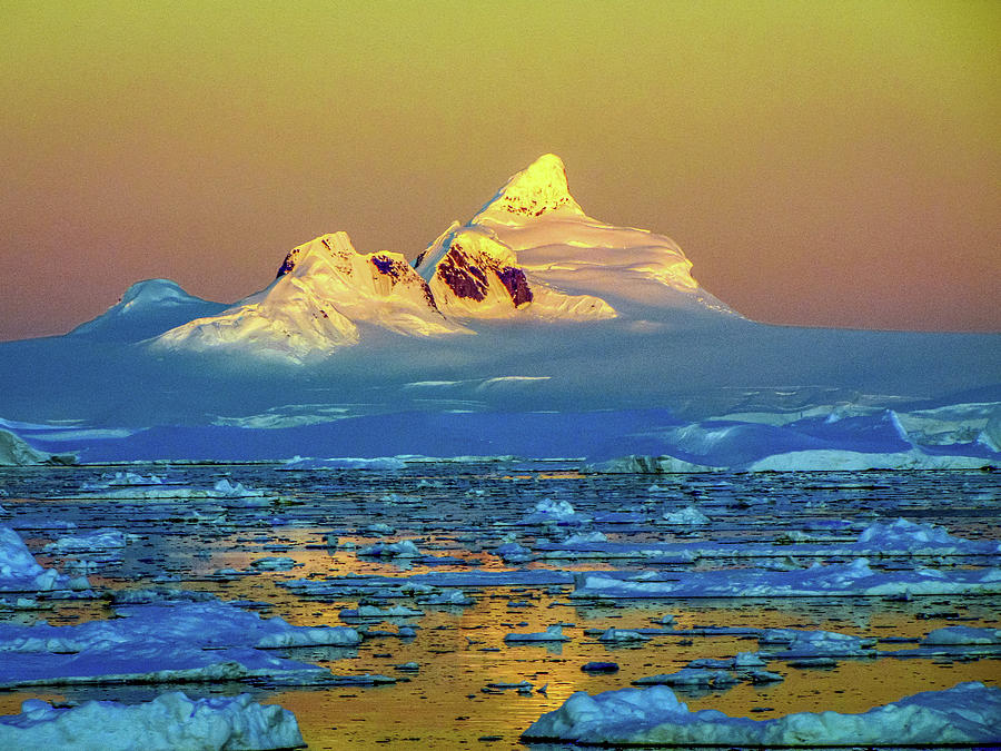 Antarctica #58 Photograph by Paul James Bannerman