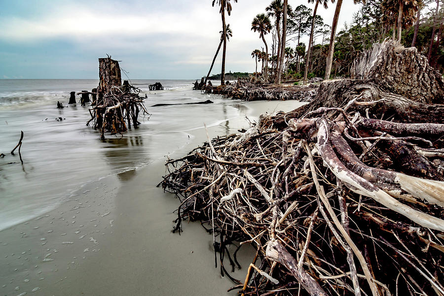 Hunting island south carolina beach scenes #58 Photograph by Alex Grichenko