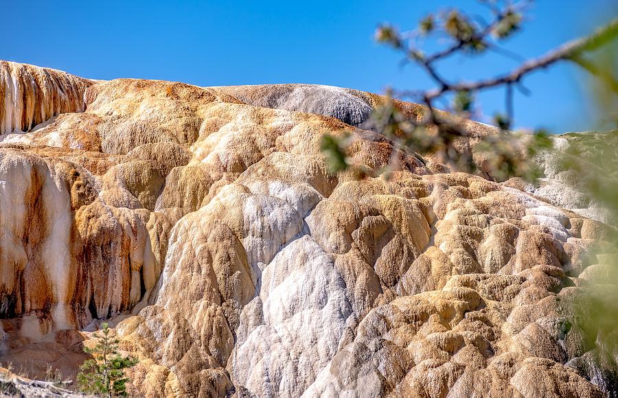 Travertine Terraces, Mammoth Hot Springs, Yellowstone #58 Photograph by Alex Grichenko