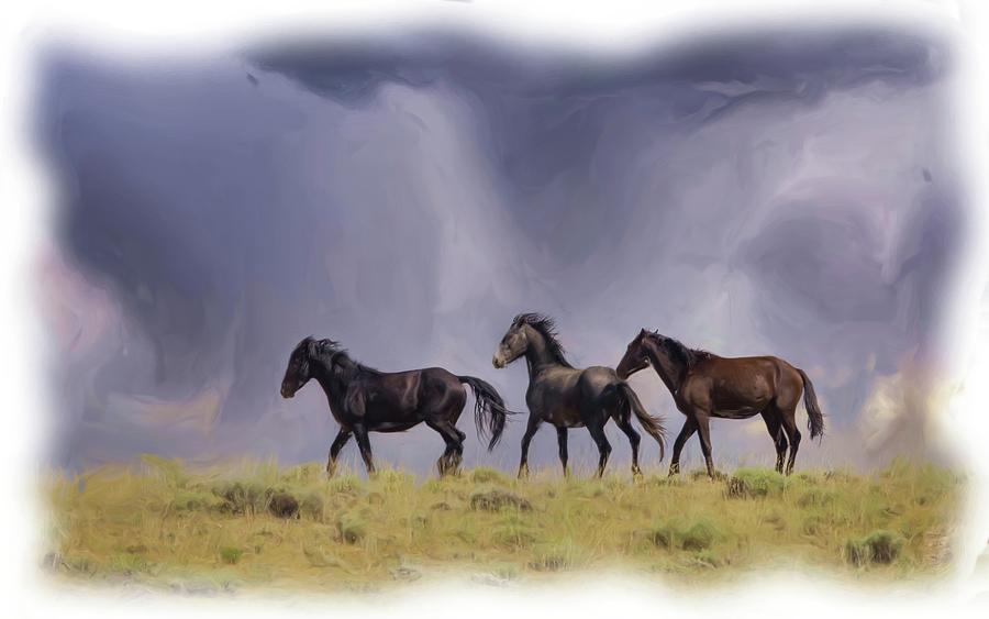 Wild Horses #58 Photograph by Laura Terriere