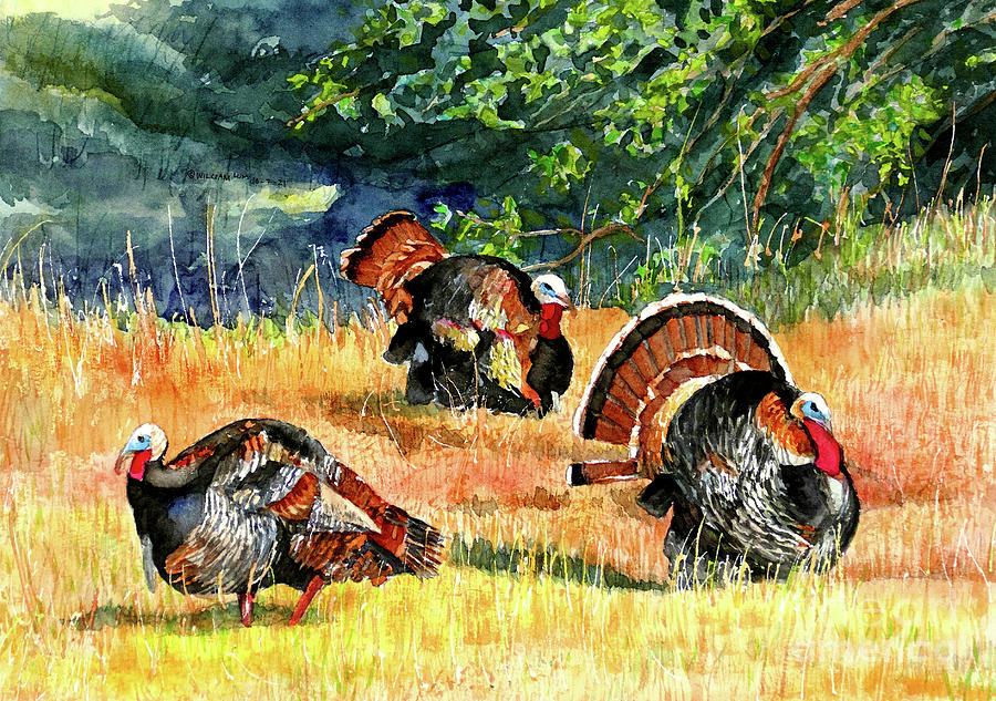 #590 Turkey Strut  #590 Painting by William Lum