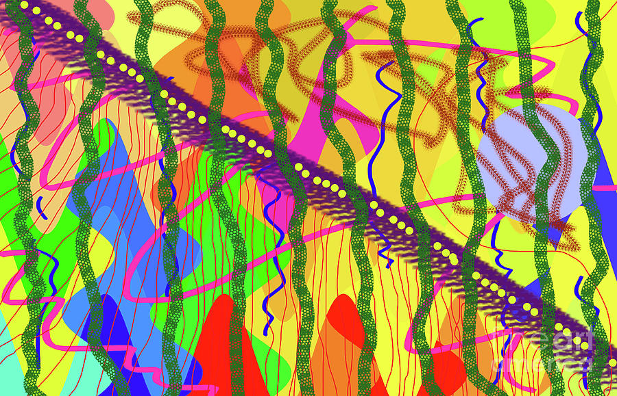 6-10-2012dabcdefghijklmnopqrtu Digital Art by Walter Paul Bebirian