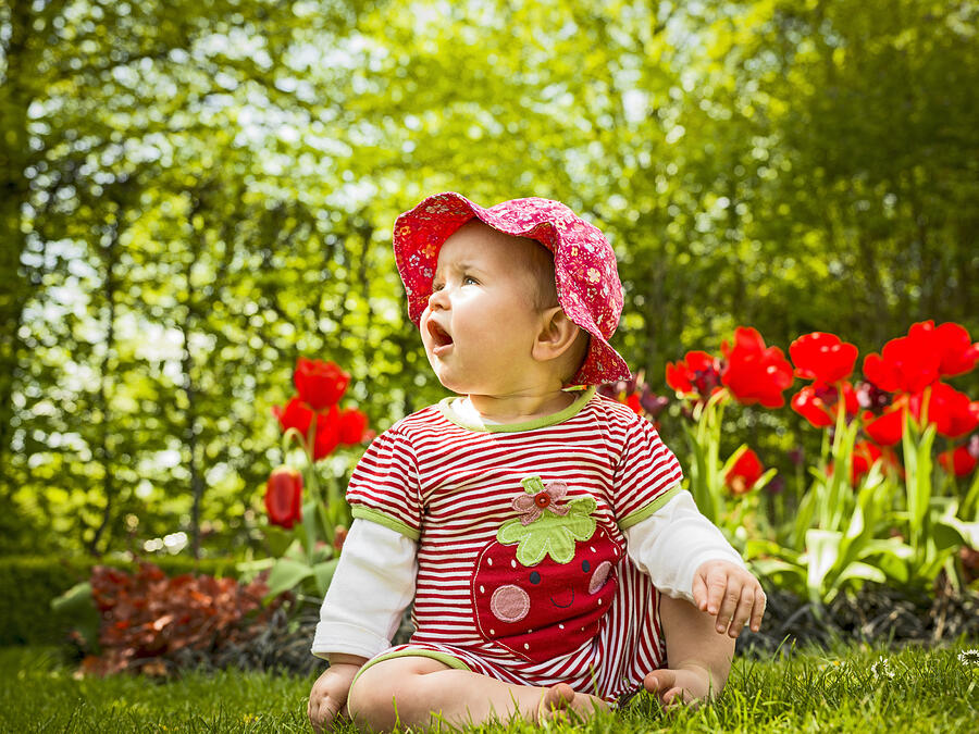 6-11 Months, Baby Girl Sitting In Flower Garden Photograph by Jw Ltd