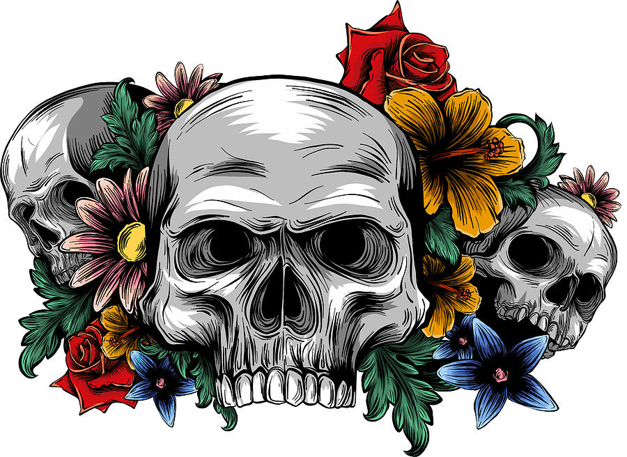 A Human Skulls With Roses On White Background Digital Art By Dean Zangirolami Fine Art America