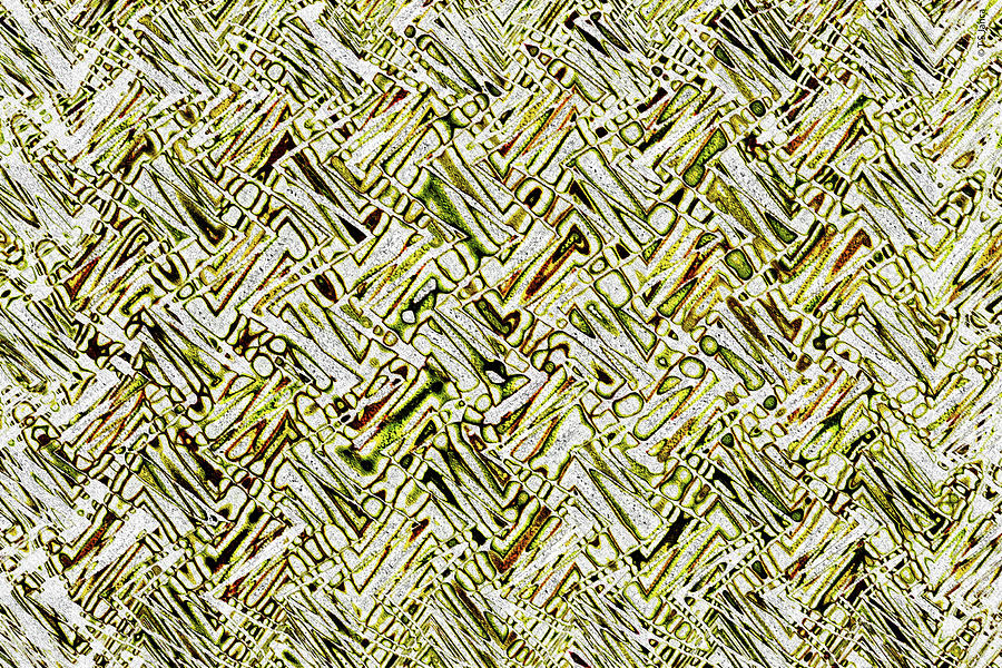 Aloe Vera Slices Abstract #6 Digital Art by Tom Janca