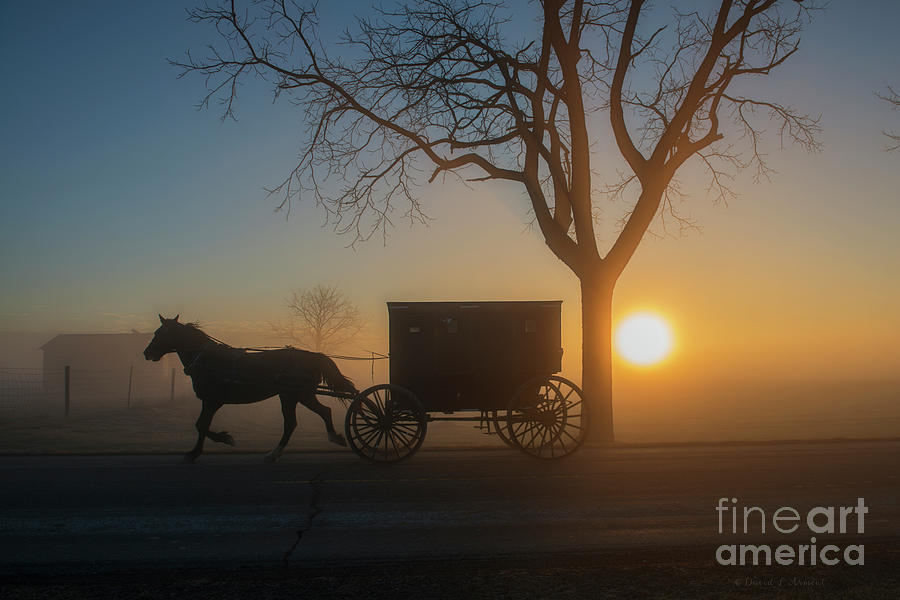 Amish Buggy at Dawn #6 Photograph by David Arment