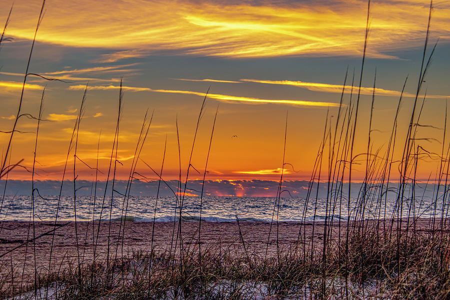 Anastasia State Park Photograph By Jean Haynes Fine Art America   6 Anastasia State Park Jean Haynes 