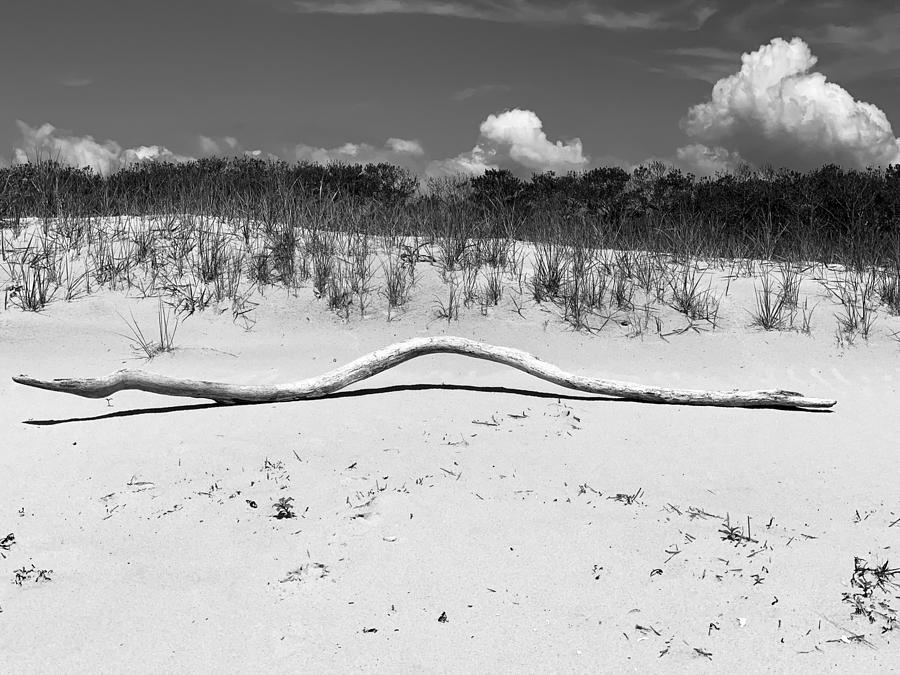 Assateague Island Beach #6 Photograph By Mcnulty - Pixels