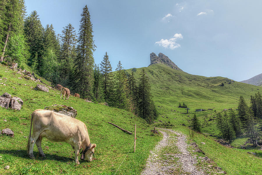 Bannalpsee - Switzerland #6 Photograph by Joana Kruse