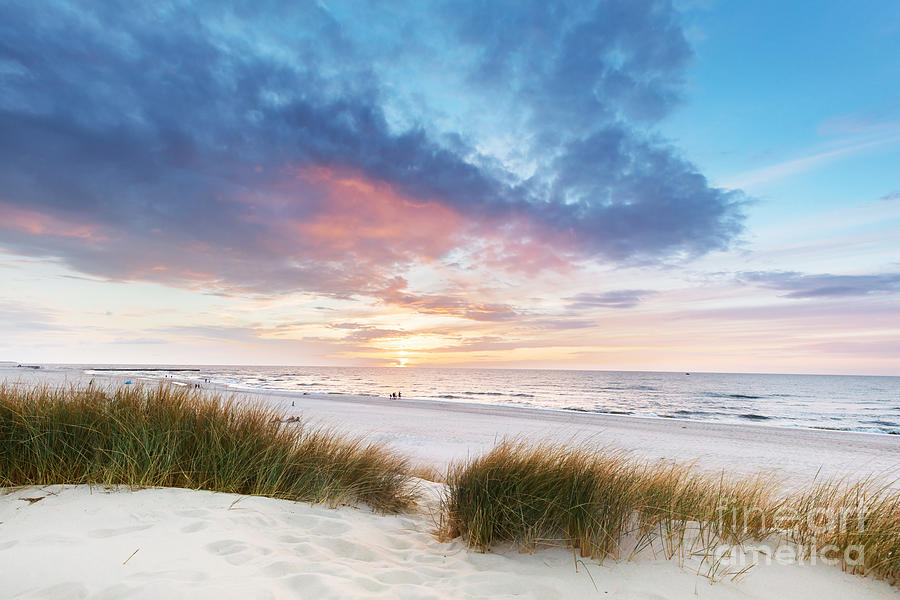 Beach grass on dune, Baltic sea at sunset #6 Photograph by Michal Bednarek