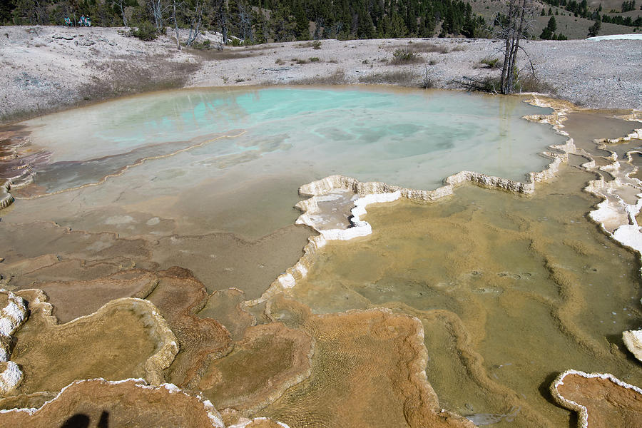 Beautiful Scenery At Mammoth Hot Spring In Yellowstone #6 Photograph by Alex Grichenko