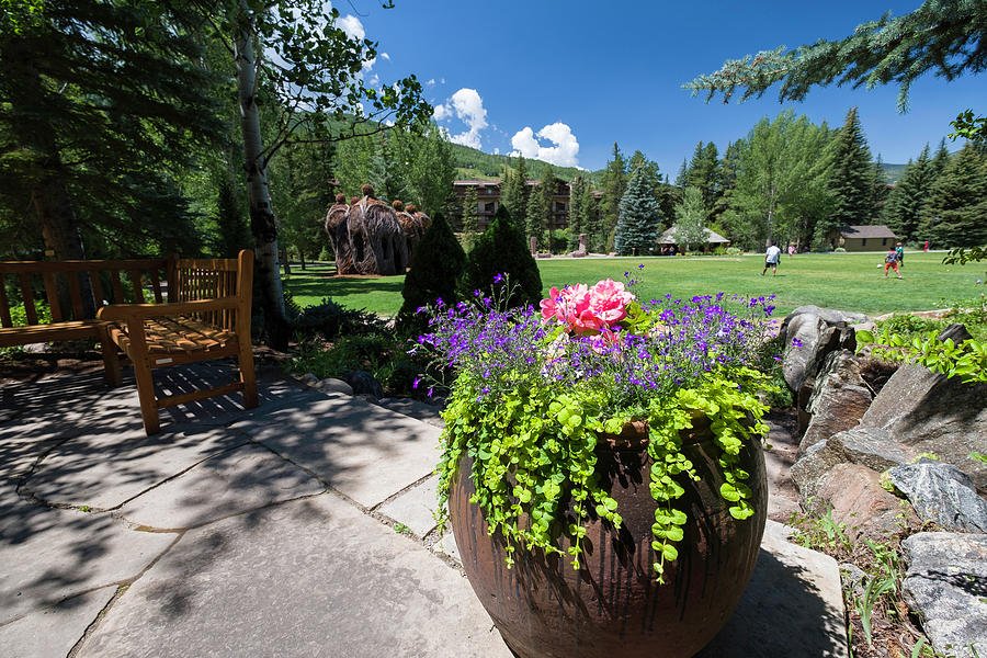 Betty Ford Alpine Gardens, Vail #6 Photograph by David L Moore