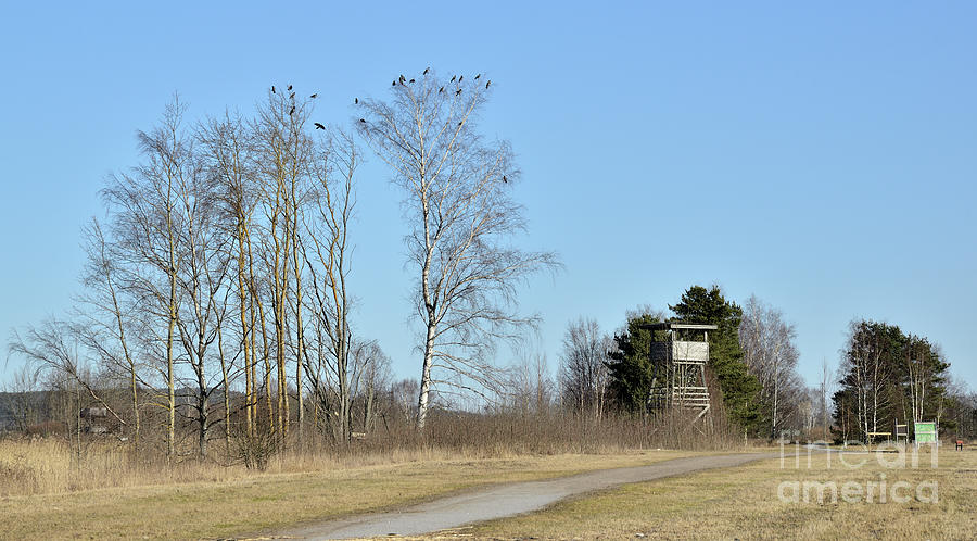 1,100+ Bird Watching Tower Stock Photos, Pictures & Royalty-Free Images -  iStock