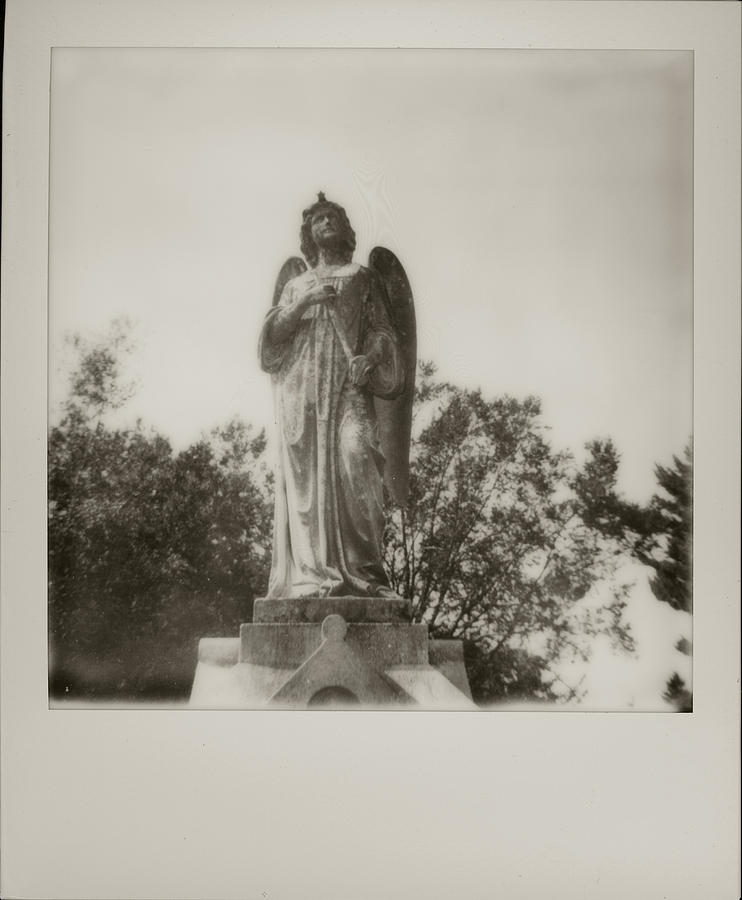 Black and White Polaroid 600 Spring Grove Cemetery Cincinnati Ohio by Dave Morgan Black and White Polaroid 600 Spring Grove Cemetery Cincinnati Ohio by Dave Morgan