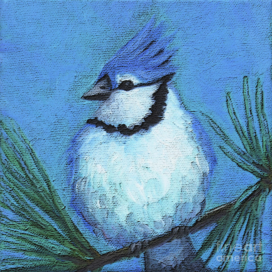 6 Blue Jay Painting by Victoria Page