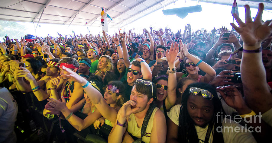 Bonnaroo Music Festival Crowd Photo Photograph by David Oppenheimer ...