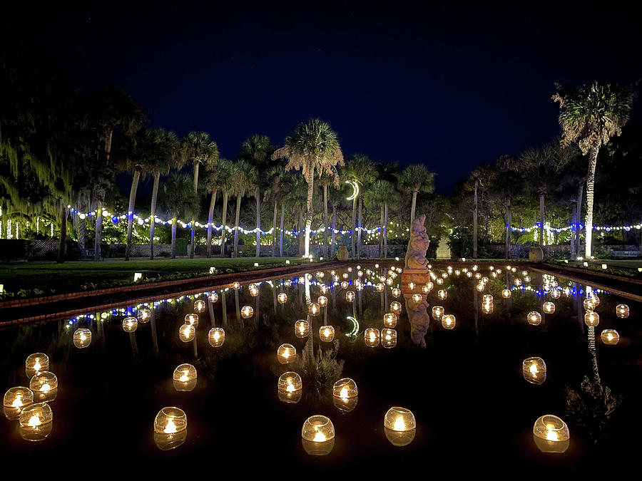 Brookgreen Gardens Festival of a Thousand Candles #7 Photograph by Dawna Moore Photography