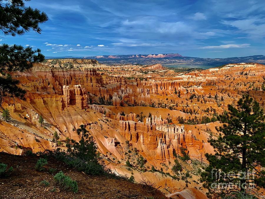 Bryce Canyon #6 Digital Art by Tammy Keyes
