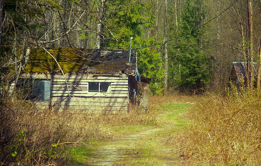 Cabin in the Woods Near Hope BC #6 Photograph by Lawrence Christopher