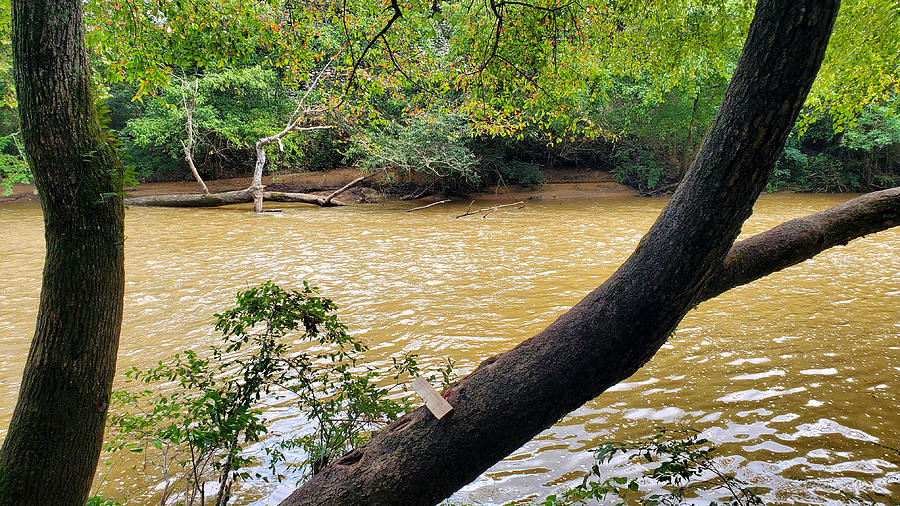 Cahaba River Walk Park #6 Photograph by Kenny Glover