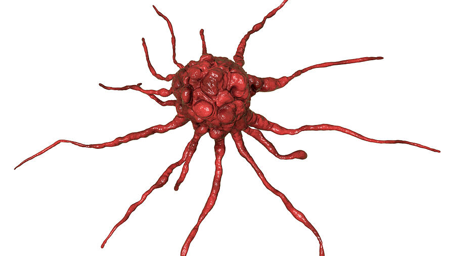 Cancer cell, illustration #6 Drawing by Kateryna Kon/science Photo Library