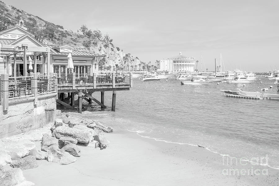 Catalina Island Avalon Bay Black and White Photo #6 Photograph by Paul Velgos