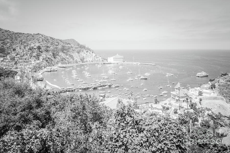 Catalina Island Avalon Bay Black and White Picture  #6 Photograph by Paul Velgos