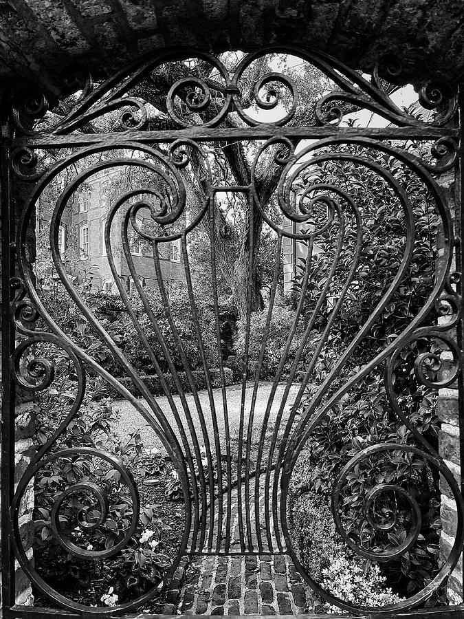 Charleston Wrought Iron Garden Gate in Detail, South Carolina #6 Photograph by Dawna Moore Photography