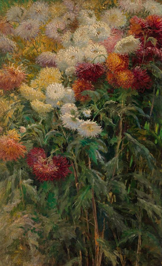 Flower Painting - Chrysanthemums in the Garden at Petit-Gennevilliers #6 by Gustave Caillebotte