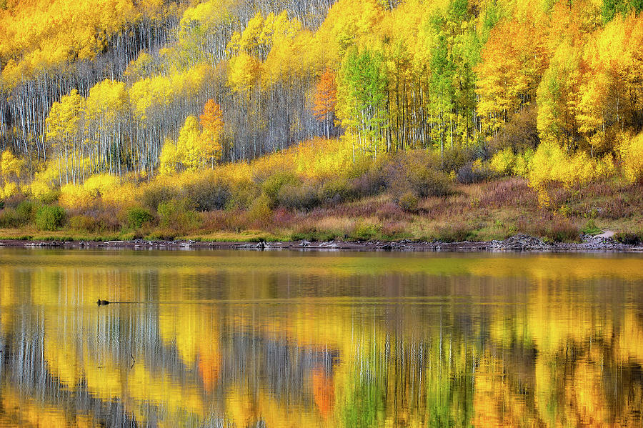 Fall colors, Colorado #5 Photograph by Doug Wittrock