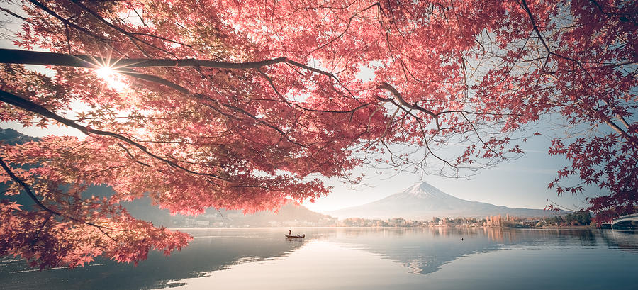 Colorful Autumn Season and Mountain Fuji with morning fog and red leaves at lake Kawaguchiko is one of the best places in Japan Photograph by Thatree Thitivongvaroon