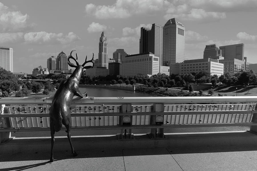 Columbus Ohio skyline in black and white #6 Photograph by Eldon McGraw