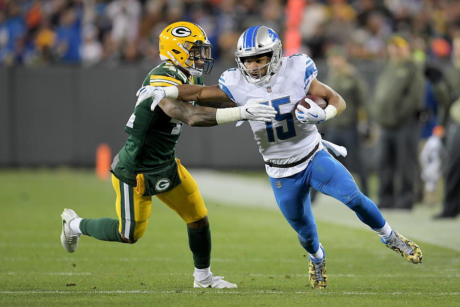 Detroit Lions v Green Bay Packers #6 Photograph by Stacy Revere