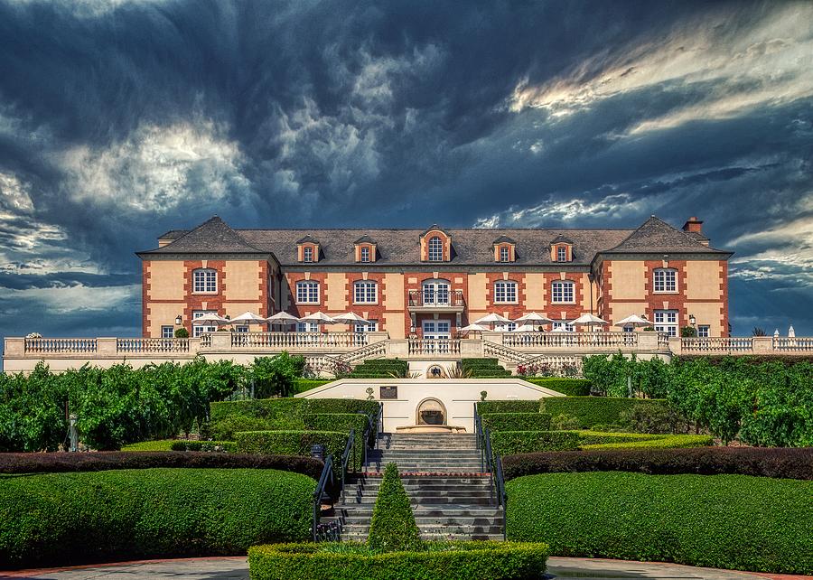 Domaine Carneros Vineyard Photograph by Mountain Dreams | Fine Art America