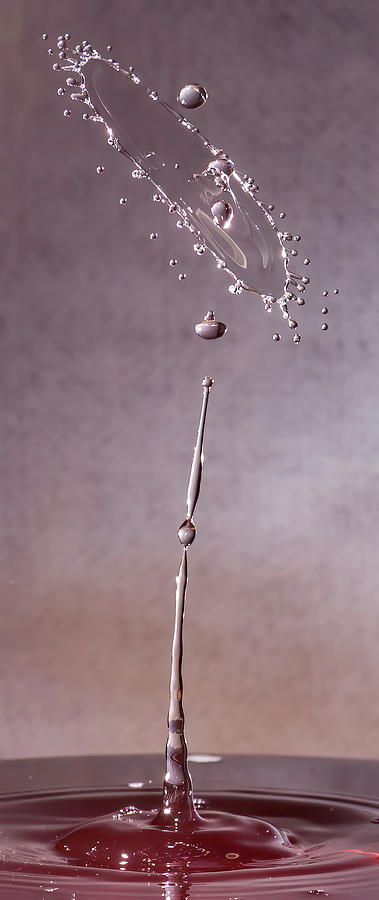 Drip Art Photograph By Todd Bischoff - Fine Art America