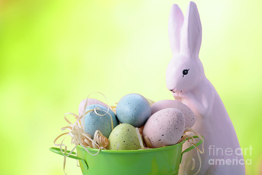 Easter Bunny with Bucket of Eggs #6 Photograph by Milleflore Images