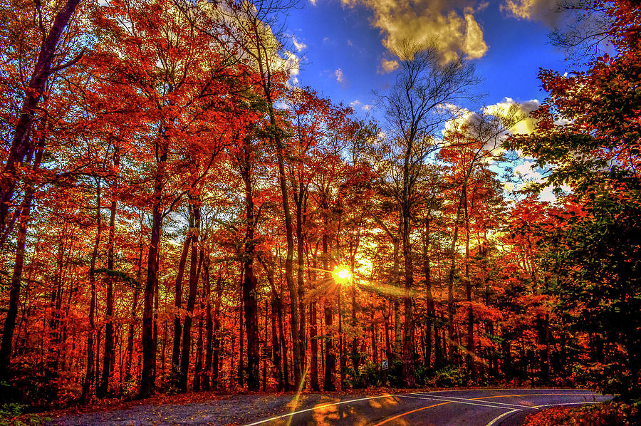 Fall Foliage Massachusetts USA #6 Photograph by Paul James Bannerman