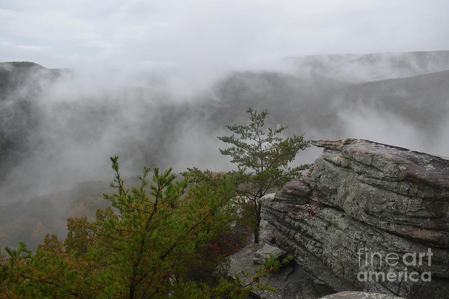 Fog In The Mountains Photograph