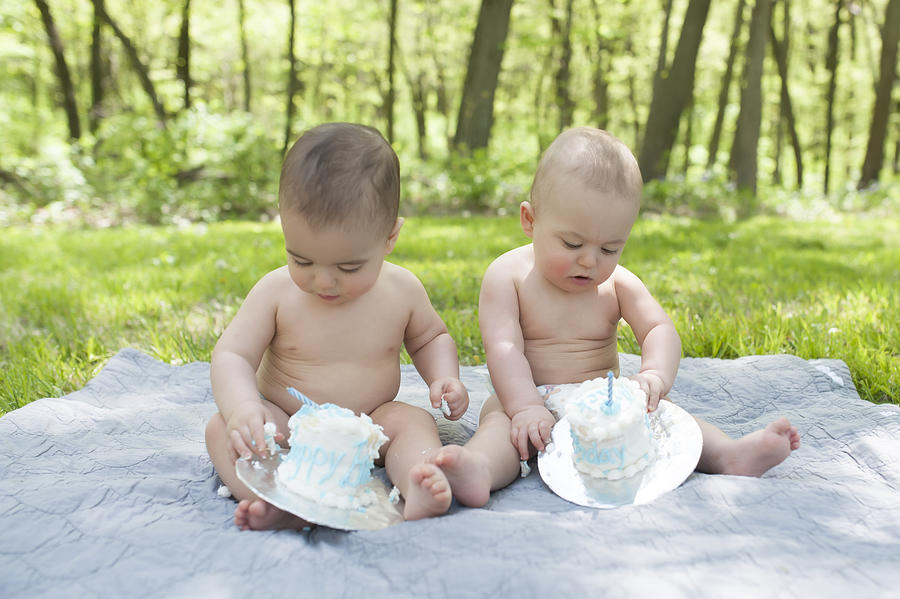 Fraternal Twins Celebrate First Birthday with Cake Smash #6 Photograph by Jill Lehmann Photography
